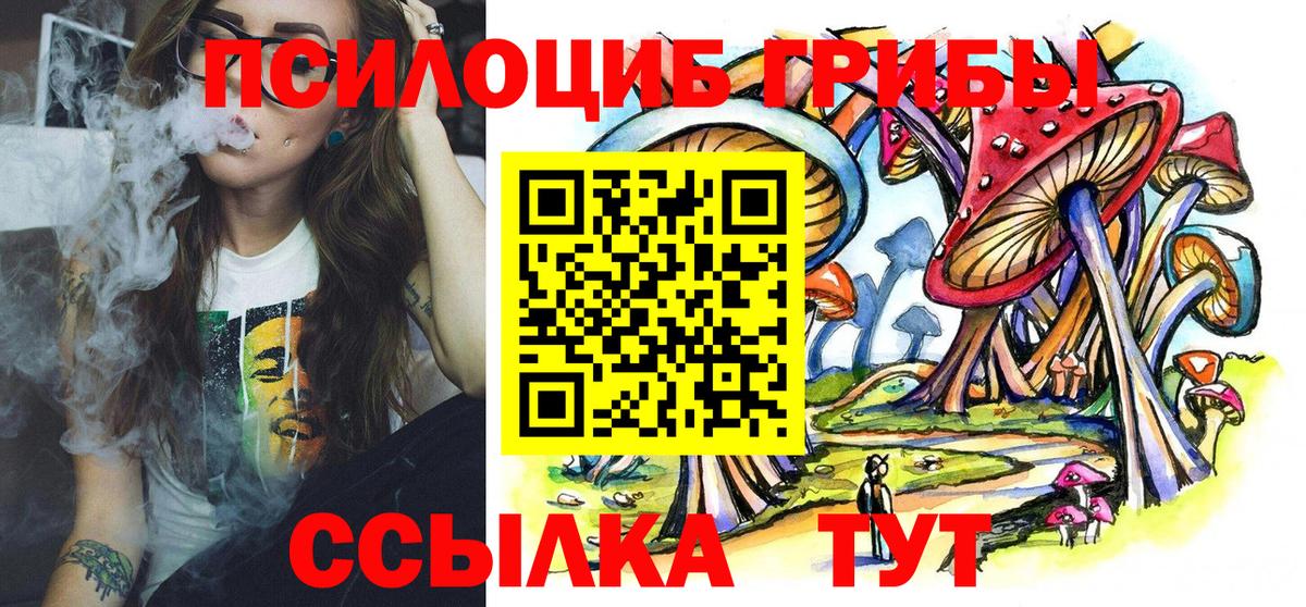 Галлюциногенные грибы MAGIC MUSHROOMS  Вход с VPN  Майкоп 